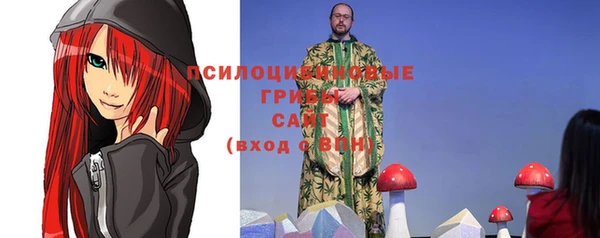 шишки Алексин