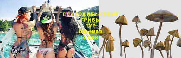 гидропоника Алексеевка
