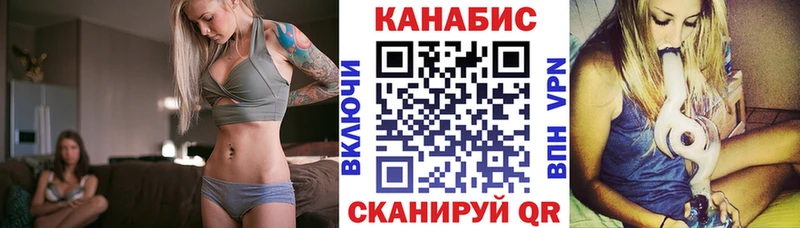 Конопля гибрид Калач-на-Дону
