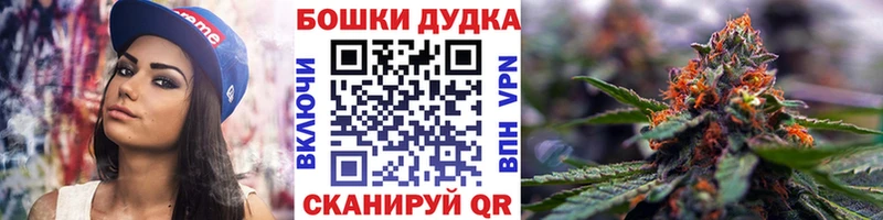 Конопля сатива Калач-на-Дону